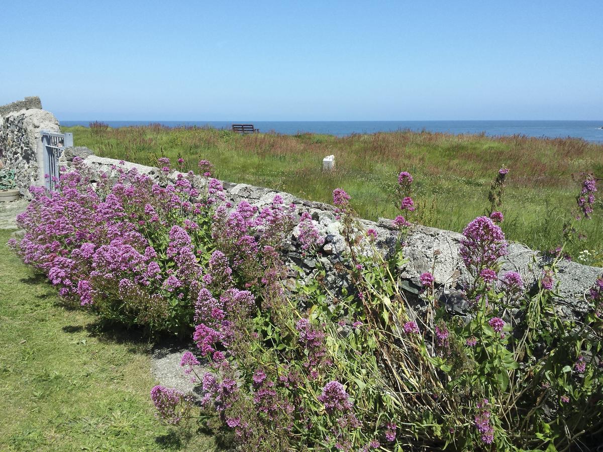 Angorfa Villa Cemaes Bay Bagian luar foto